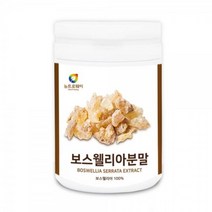 관절건강 인도산 보스웰리아분말 200g 1통 부모님선물 건강 분말 건강기능