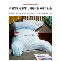 아이스 테릴렌 다기능 허리 등쿠션 허리 등 반려 다기능 허리 등쿠션 요추방석, S사이즈 65 X45cm, 코끼리