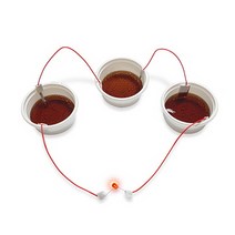 초등학교 중학교 화학실험 콜라전지만들기 키트, 단일