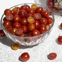 5kg 동글이 방울토마토 가락시장, 1개, 상세페이지 참조