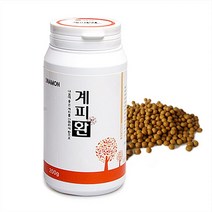 계피환 200g 한방영양제 건강환 부모님선물