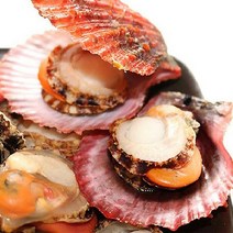 당일조업 국산 홍가리비 제철 해산물 생 가리비 2kg