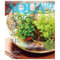 아쿠아 라이프 Aqua Life 9월호 (23년) - 아쿠아미디어