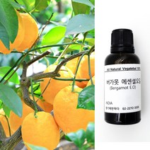향기에반하다 버가못 E.O 천연 아로마 에센셜 오일 30ml 과일향 긴장완화 친환경 디퓨저 방향제 캔들 향료 비누만들기, 버가못 천연 아로마 에센셜 오일 100ml
