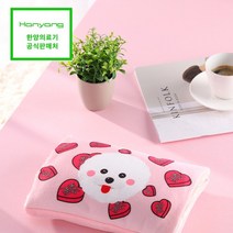 한양 프리미엄 충전식 덮개형 온수찜질기, 12. HC-05