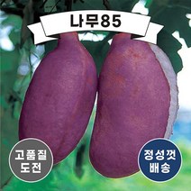 (나무85) 으름 3종 시리즈, 2. 백화으름 포트
