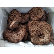 2022 국산 자연산 능이버섯 2kg 국내산 버섯 선물 세트 국산 프리미엄 백화점 선물용