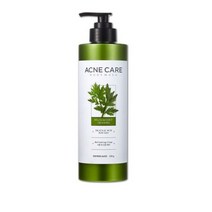 샤워메이트 사철쑥 아크네케어 바디워시, 3개, 500g