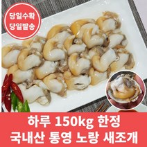 싱싱 통영 노랑새조개 500g 1kg 아이스팩 신선포장 하루 150kg 한정손질, 새조개 1kg(손질), 1개