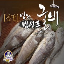 [KT알파쇼핑][특대장대 22미] 영광 법성포 참맛굴비