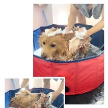 PVC 원형 강아지 욕조 수영장 애견 수조 80cm 120cm, 레드(직경 80cm높이 30cm)