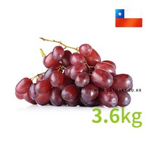 칠레 씨없는 적포도 3.6kg, 단품