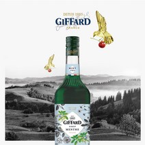 GIFFARD 그린민트 시럽, 1개, 1000ml
