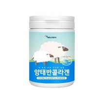 호주 양태반 분말 100g 230g 양태반콜라겐