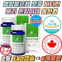 14종 비타민 영양불균형 보충 베리 혼합야채 올인원 캐나다 24종 비타민 미네랄 종합 멀티 비타민 영양제 직장인 학생 중장년 데일리 필수영양제 비타민 A C D 판토텐산 B1 B2