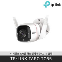 티피링크 Tapo TC65 무선 가정용 CCTV 홈캠 / 공식 판매점