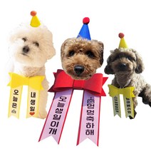 강아지화환모자세트 반려동물생파 고양이돌 미니리본 화환리본문구 애견돌잔치, 4. 빨강(모자+리본) S