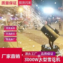 눈뿌리는기계 인공눈기계 업소용 3000w 큰 흔들리는 머리 눈송이 기계 무대 시뮬레이션, 350ml 농축 눈송이 오일 (10병) - m06
