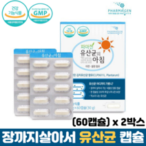 유산균 캡슐 특허 김치유산균 식물성 장용성캡슐 식약처인증 아연 셀렌 프로바이오틱스, 2박스, 60캡슐