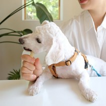 3개월강아지개껌 강아지양치 대형견개껌 뉴트리오 7종 껌, 1개, 코코넛