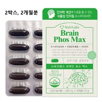 식약처 인증 포스파티딜세린 ps 뇌 영양제 300mg 캡슐 징코 대두 미국산 은행잎추출물 ncs 두뇌 건강 기억력 인지력 수험생 청소년 중년 노인 효능 추천 식약청 인정 제품, 2box 총 120캡슐, 1box당 60캡슐