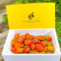 제주사나 농장 프리미엄 미니 애플망고 선물세트 3kg, 제주 미니 애플망고 3kg (대략 30과정도)