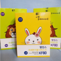 웰킵스KF80대형30매x2박스+소형KF8030매 1박스