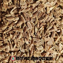 수입 회향 소회향 딜씨드 500g 중국산 제천약초영농조합 제천약초시장, 1, 500