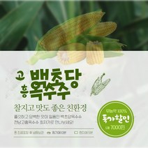 옥수수.백초당옥수수.초당옥수수.다이어트.아삭아삭 제철과일 건강한과일, 12-15cm