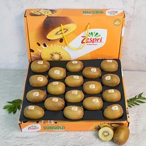 뉴질랜드 제스프리 골드키위 선물세트 왕점보 점보 31kg 1박스, 골드키위 선물세트-점보(18과)