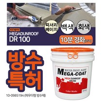 메가 던롭 DR100 1kg 특허방수 몰탈 에폭시 우레탄, DR100(럭셔리베이지) 1KG + 방수키트 0.5L