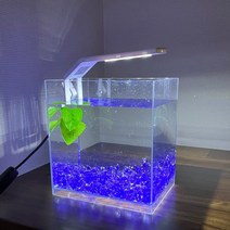 베타 기본 어항세트 수족관 베타키우기 얼음보석 어항, 레드, 베타 어항 풀세트