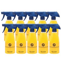 [공식몰]알앤비 피톤테라피 PPT 단백질 클리닉 솔루션 전처리제 500ml 10개입, 10개