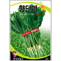 향단이열무 30g/채소 김장씨 전라도열무 씨앗