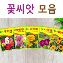 살아있는 꽃씨 야생화 키우기 다년생 채송화 다알리아 달맞이꽃 해바라기 맨드라미 봉선화 코스모스 메리골드 패랭이 접시꽃 사루비아 구절초 유채 백일홍 금잔화 꽃씨앗, S- 꽃씨-왜성해바라기 x 1개, 1개