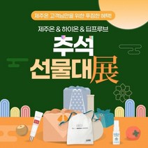 기타 제주온 추석선물대전(풋귤3종세트), 본상품선택 WCD96D7