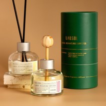 랩솔 차량용 방향제 디퓨저 자동차 차량 방향제 100ml, 에이프릴프레쉬