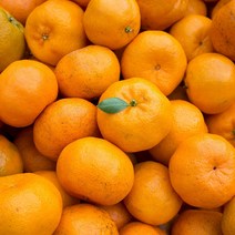 제주 비가림 수로미 왕귤 못난이 고당도 하우스 감귤 귤 5kg 10kg, 비가림 수로미 4.5kg