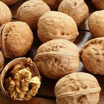 호두 2023 국산호두 알호두 껍질얇은 신품종호두 실속형 꼬마호두 1kg 덤 100g, 일반형 가정용 1kg