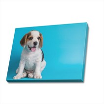 귀여운 강아지 사진 캔버스액자 (고객님 강아지 사진으로도 제작 가능합니다), DOG35