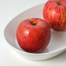 당도선별 고당도 꿀사과 문경 사과, 5kg (20~23과)_12브릭스 이상