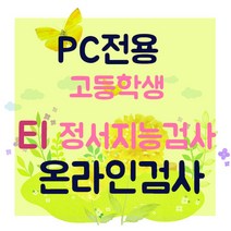 [온라인검사] 고등학생 EI 정서지능검사