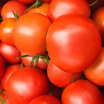 갑봉이네 무농약 찰토마토 5kg, 단품