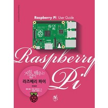 거침없이 배우는 라즈베리 파이, 지앤선