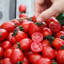 장보남 대추방울토마토 5kg 2kg 대과 중과 소과 실중량 /우체국택배, 1, 대추방울토마토 5kg(대과)