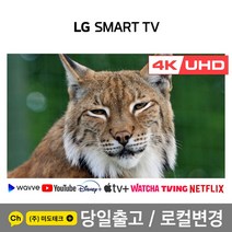 LG 75인치 4K UHD 스마트 TV 75UK6570 리퍼, 1. 수도권역 스탠드 +HDMI 2.0