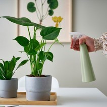 이케아 TOMAT 토마트 분무기 350ml /라이트그린