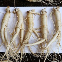 국내산장뇌삼부모님선물세트 참인삼 세척난발삼 인삼재배 강화인삼, 원수삼 500g