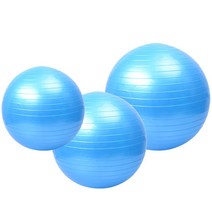 쭈bhnj__안티버스트 짐볼 요가볼 필라테스볼 블루 55cm 탱탱한볼 튼튼한볼 운동볼 헬스볼 볼운동 스트레칭볼♥hopenjoy!, ♥hopenjoy!