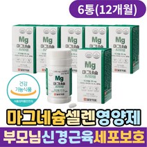 부모님 신경 근육 세포보호 마그네슘 셀레늄 영양제 에너지 비타민 B6 코발라민 A 눈 건강 눈밑떨림 항산화 마그네슘부족 등산 할머니 할아버지 노인 60대 70대 80대 추천 보충제